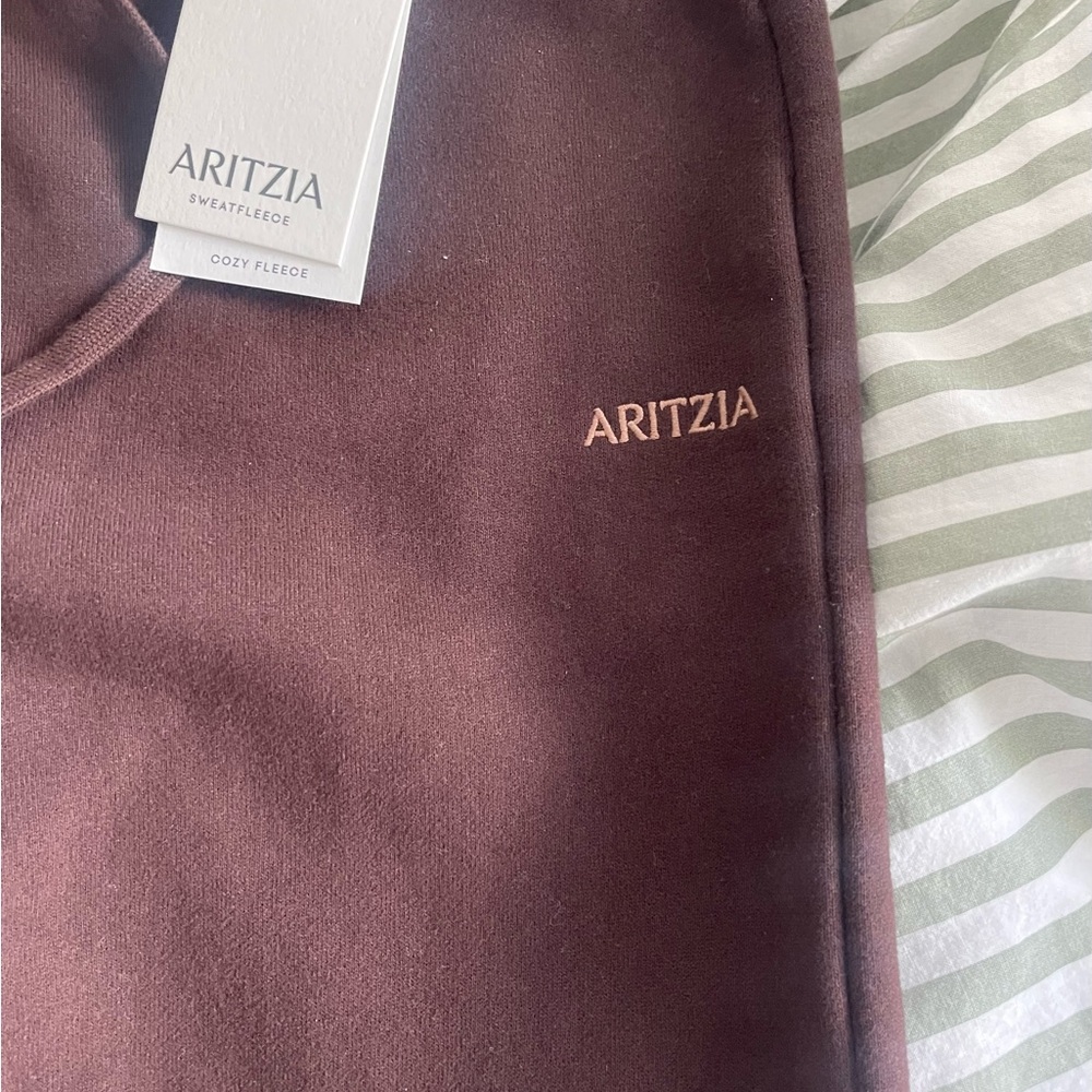 Aritzia Chocolate Joggers - Picture 4 of 4